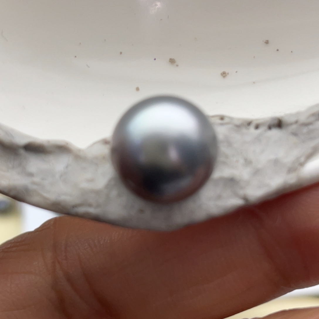 丹***宁海水珍珠裸珠10.9 裸珠