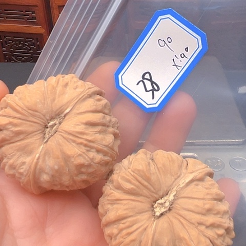 文玩核桃吊坠x****g南瓜