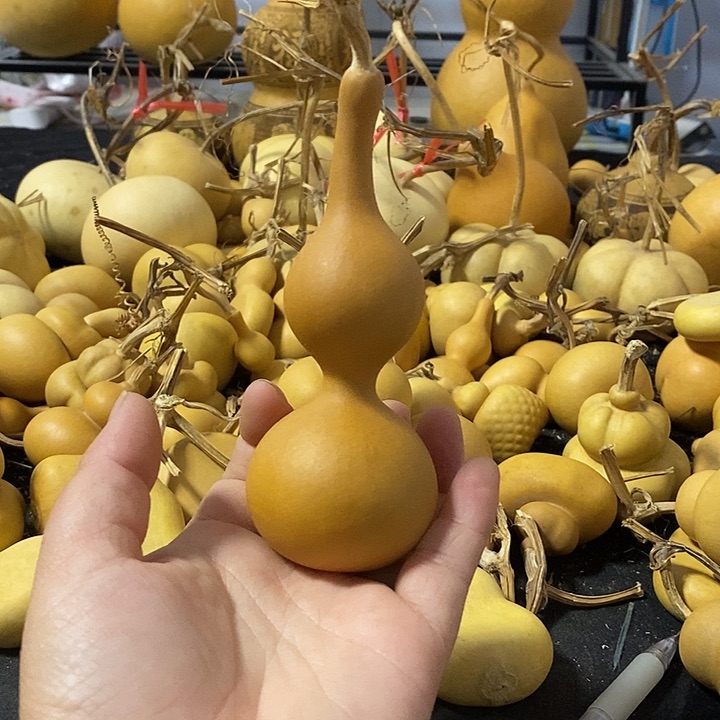 菟*纸葫芦的颜色很好看
