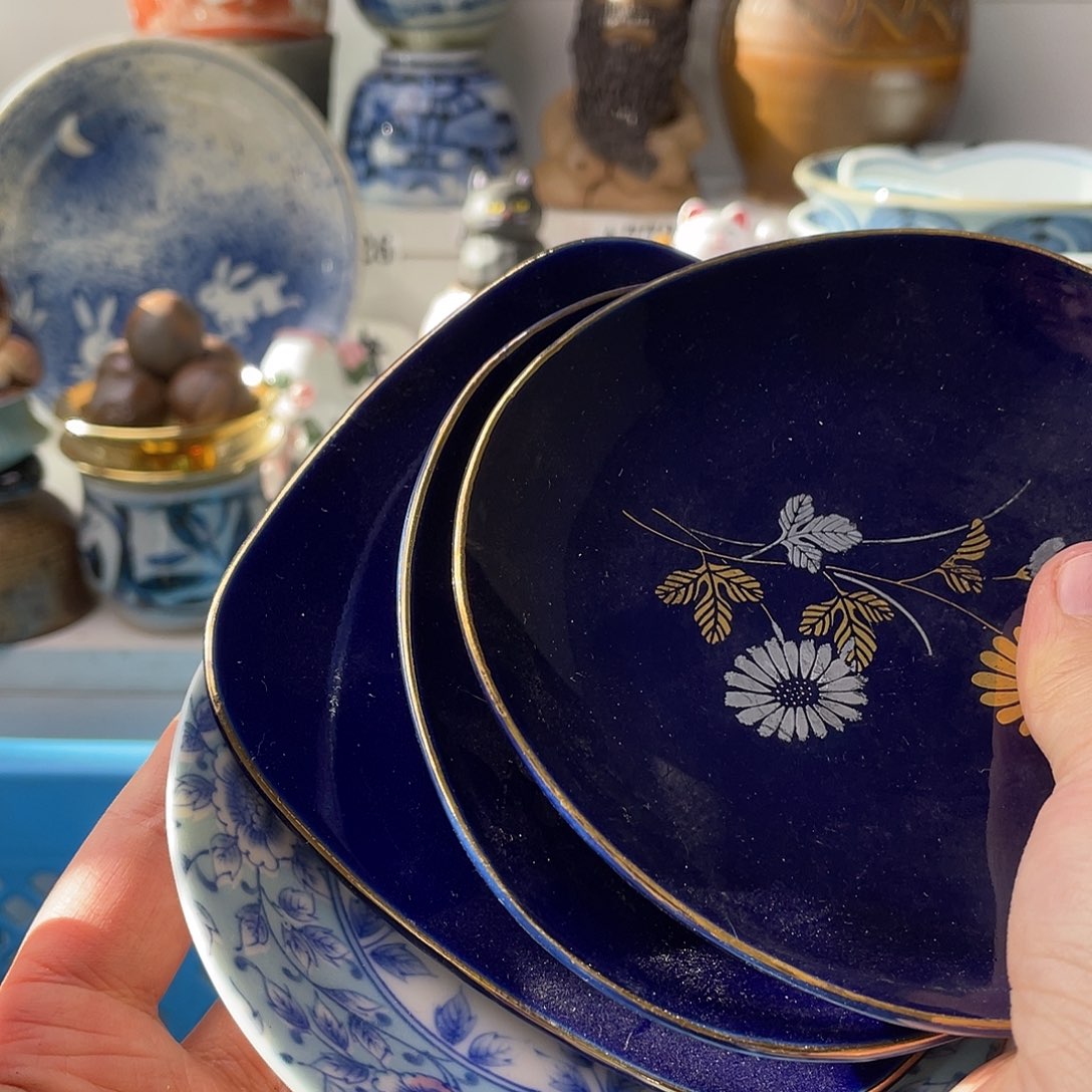 瓷片言*哈哈哈我真的要把她带去隔离酒店去