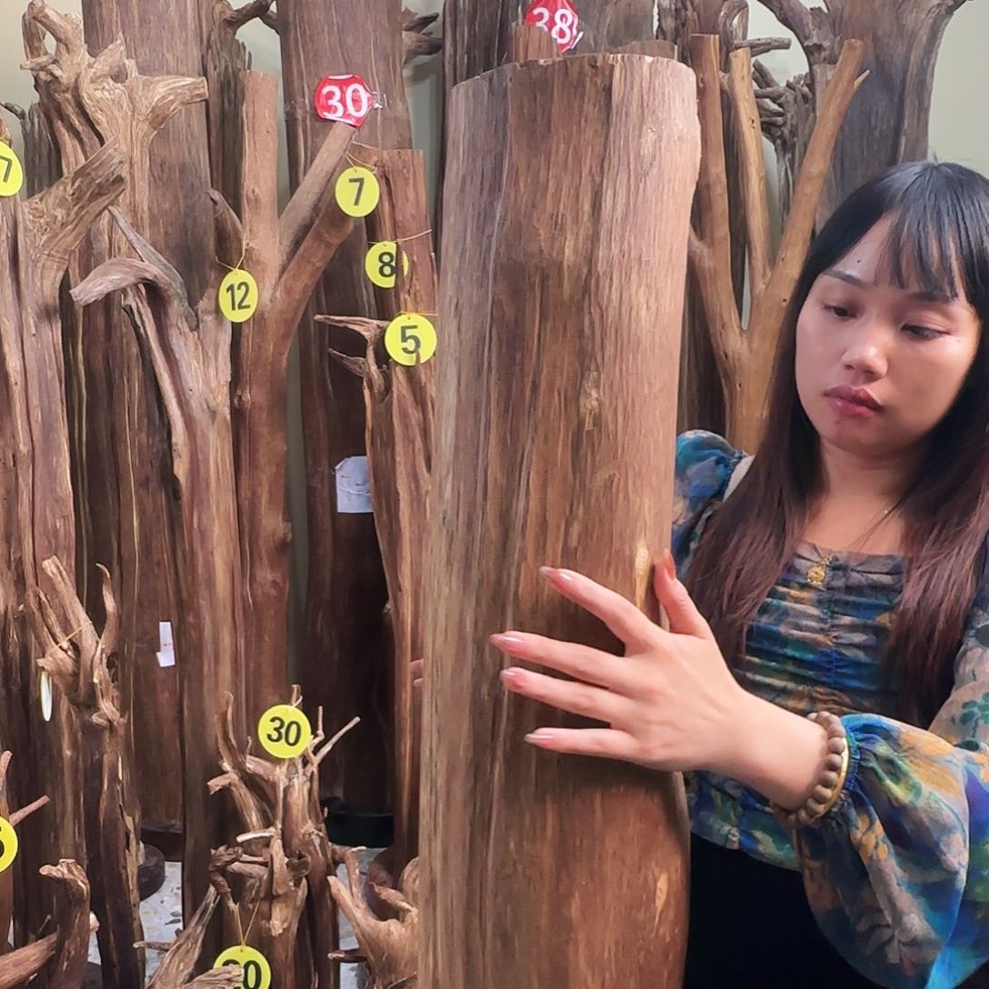 沉香沉香碎屑天然沉香原材料香料熏料