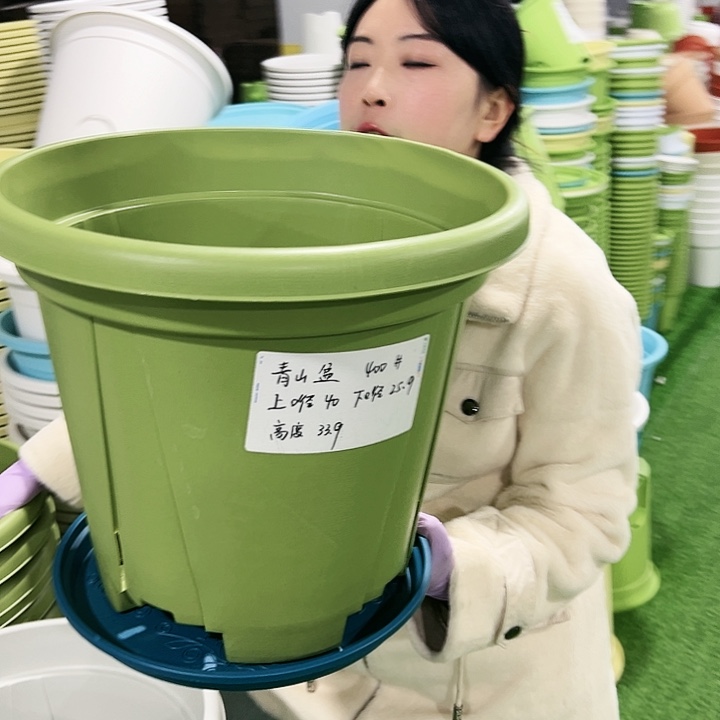 清仓青山口40高34果绿5只带托