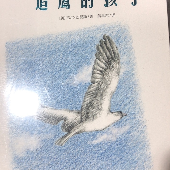 吉尔刘易斯动物小说4本