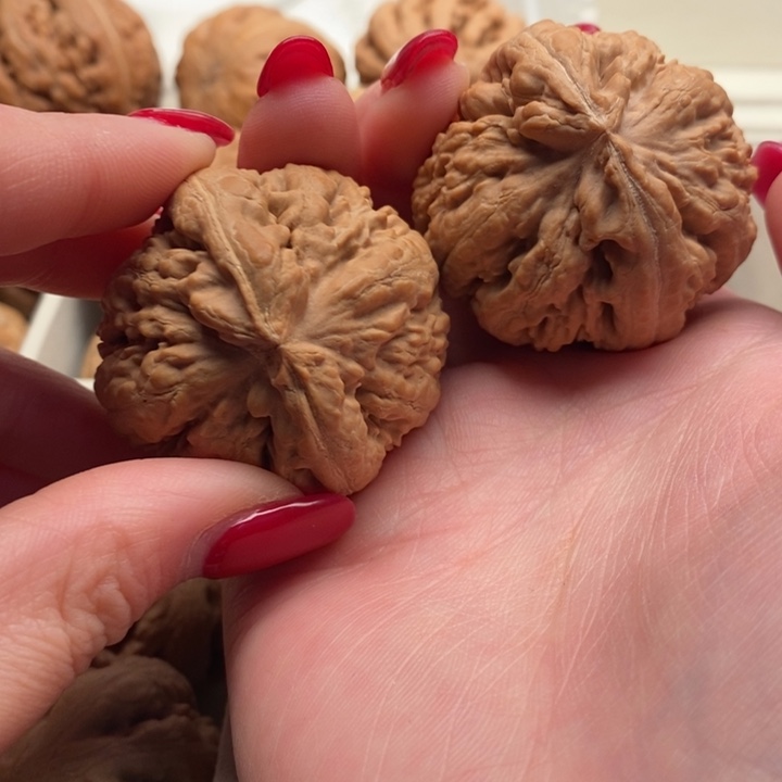 大***飞文玩核桃把件霸王龙