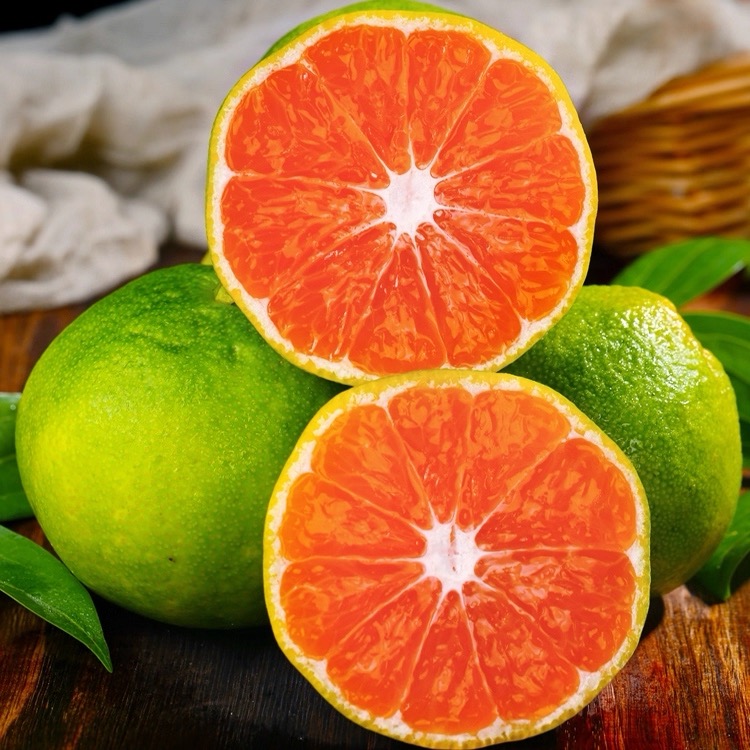 【顺丰包邮】江西寻乌青皮蜜桔薄皮多汁酸甜无核孕妇水果3/5斤