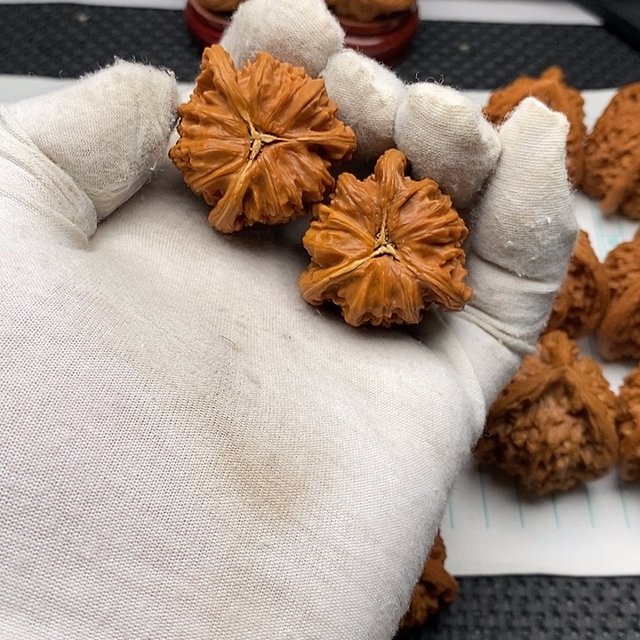 手串/手链核桃白狮子5