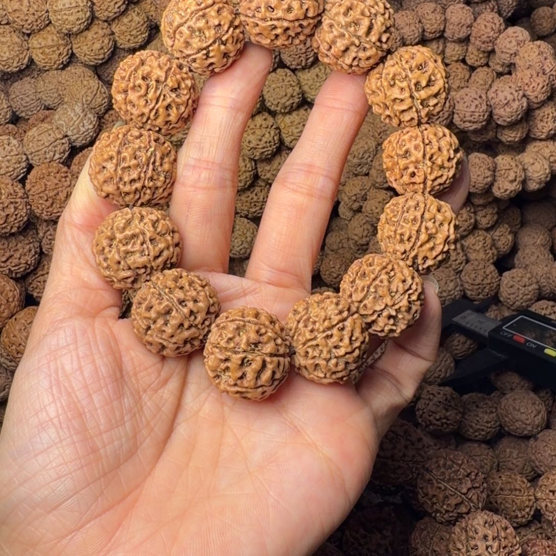 金刚菩提手串8瓣卡22尺长，52号