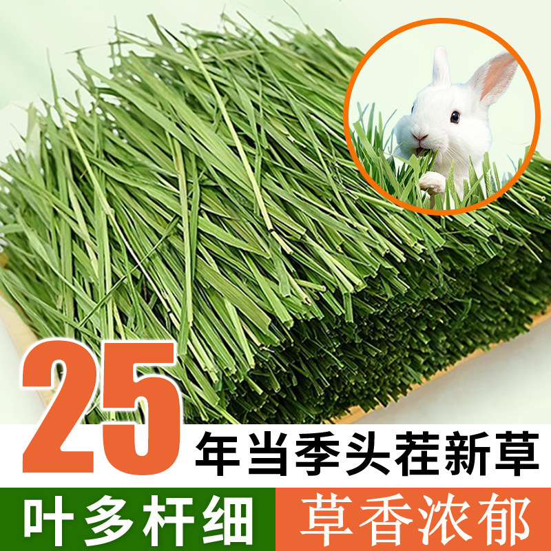 提摩西草晒干烘干兔子饲料龙猫粮宠物通用北提磨牙食用干草牧草料