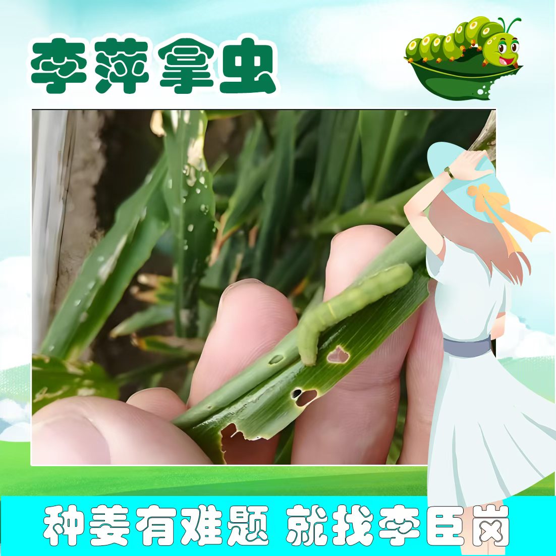 李萍拿虫130（11喷雾器）