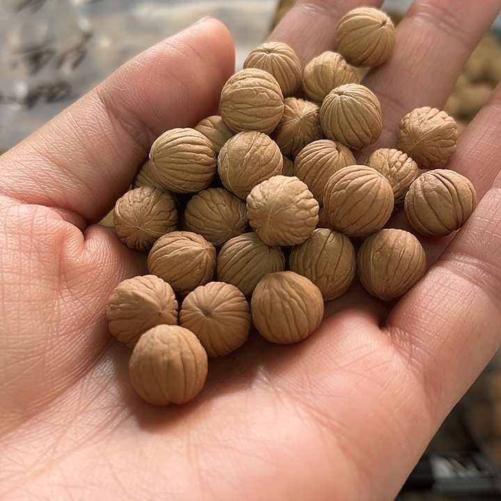 F***i猴头核桃手串双歧苹果100颗