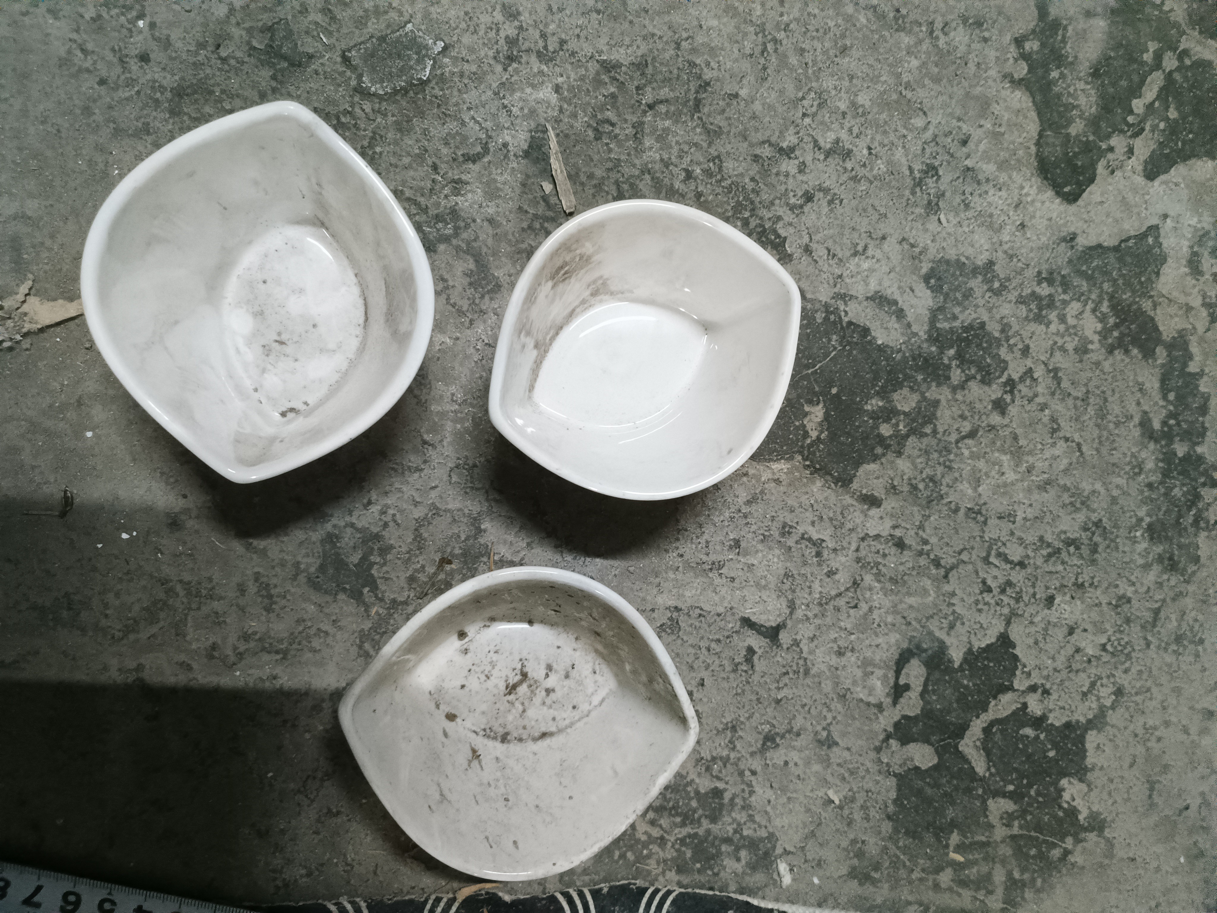 新号开播福利小料碗一个微瑕完美主义者绕行