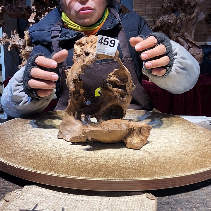 名***了459。株木随行根艺