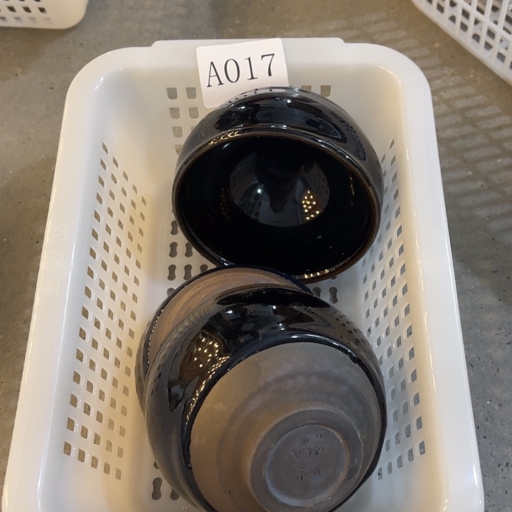 福利待遇多多哦哦哦随机发一只