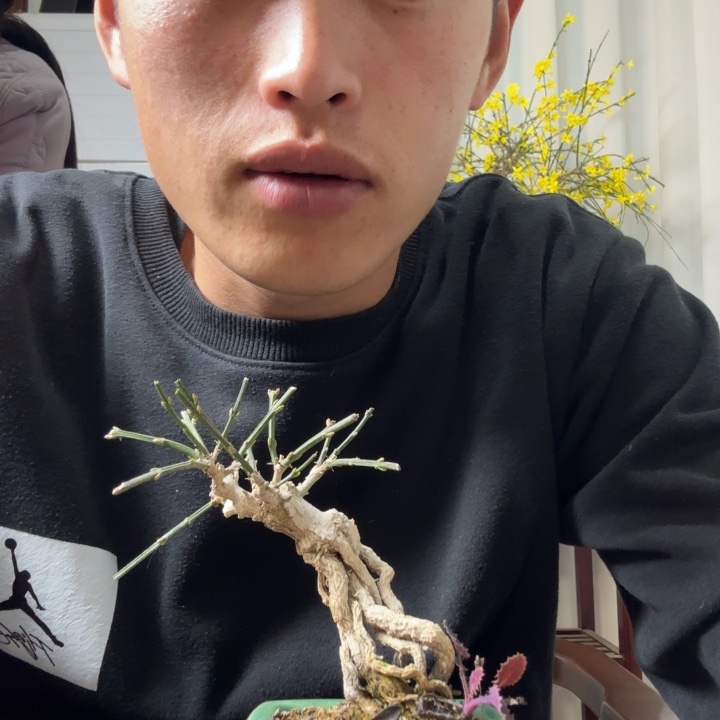 失***0盆景平静哦即空即可拍