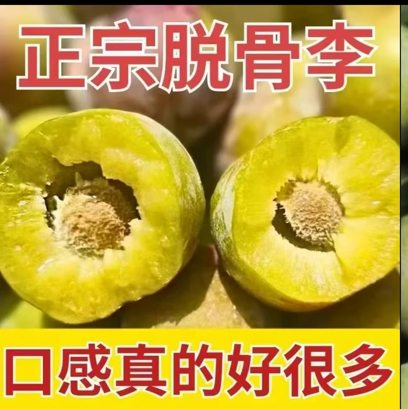 正宗高山脱骨李整箱5斤新鲜当季水果
