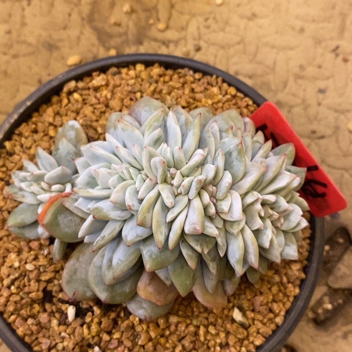 心***怡88888888888888888