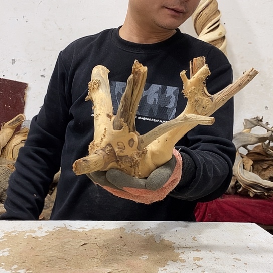 加***吧柏木我们都是好孩子