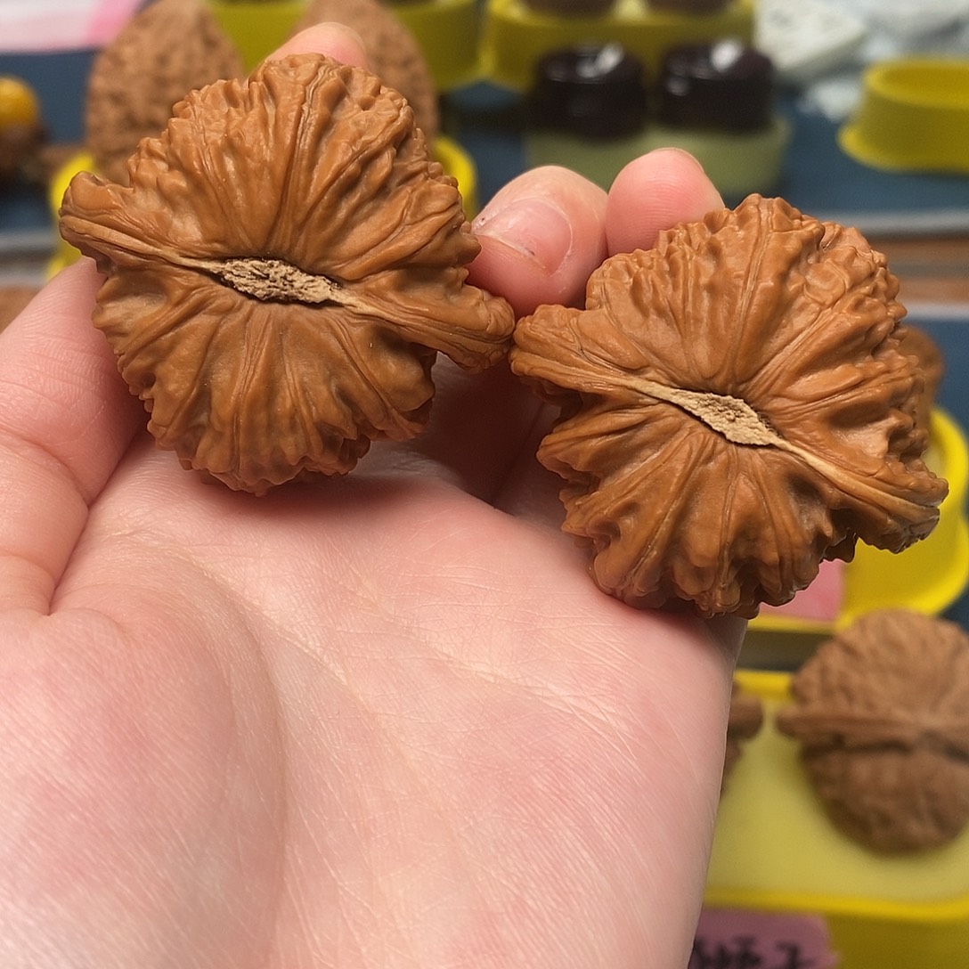 核桃手串/手链45白狮