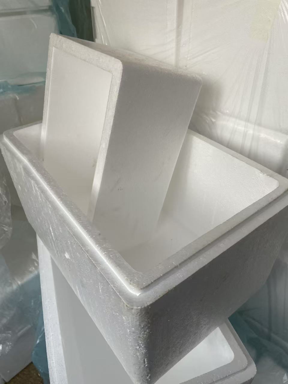 保温箱  温度低可拍多肉无忧