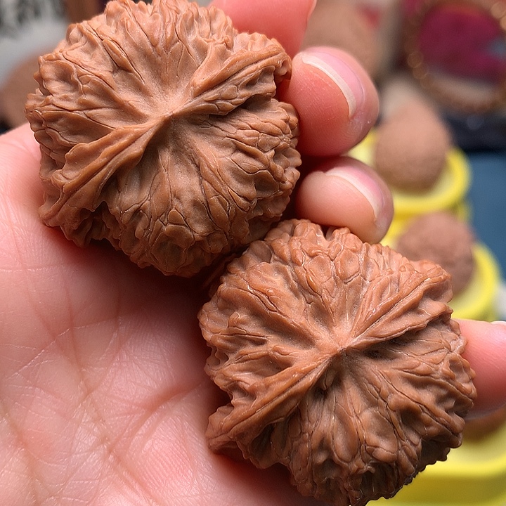 大叶紫檀（黑酸枝木类）