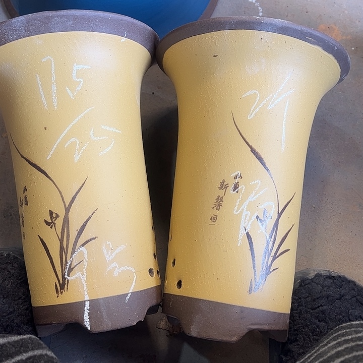 9号宜兴紫砂花盆里