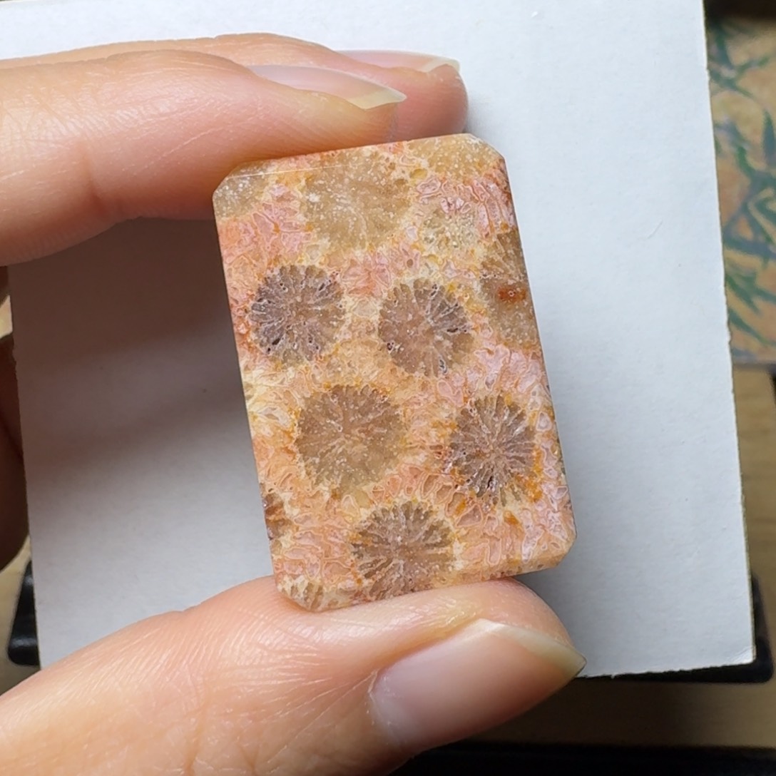 硅化玉保真橘粉黄，有骨骼未镶嵌