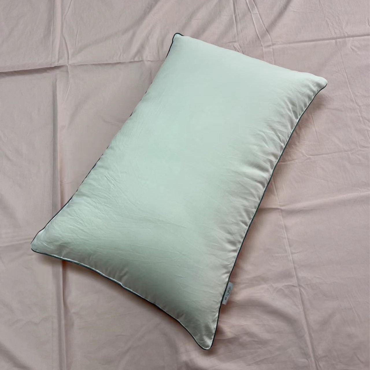 全棉蚕丝枕单人枕头枕芯成人亲肤蚕丝枕单只装（蚕丝净重2斤）