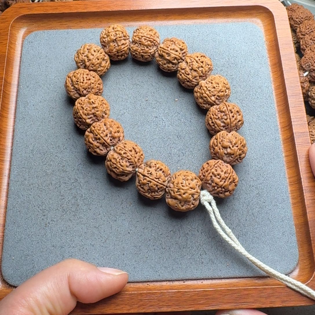 菩提菩提9号尼泊尔打金刚21满肉六瓣梅花