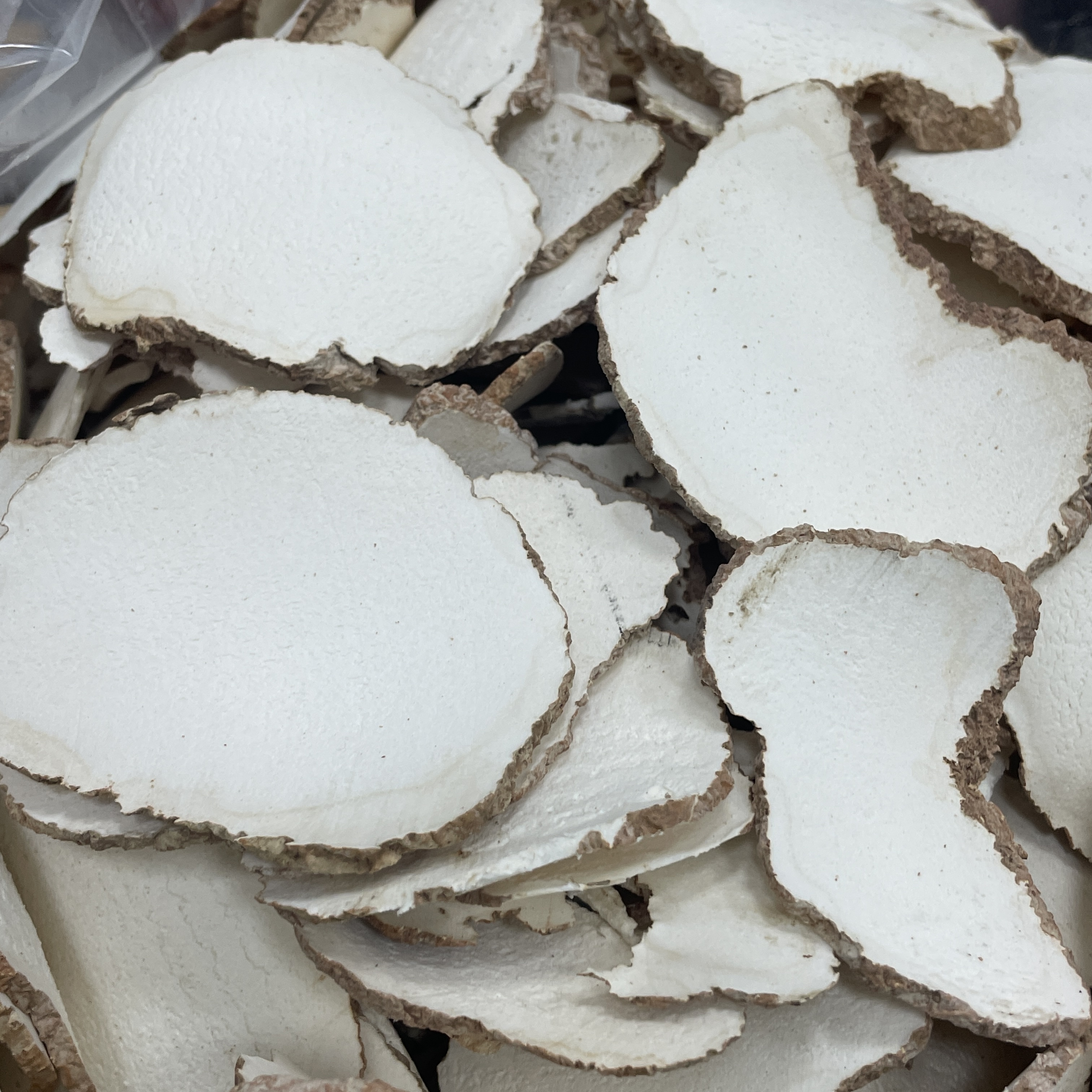 虎奶菌 原色货 干货