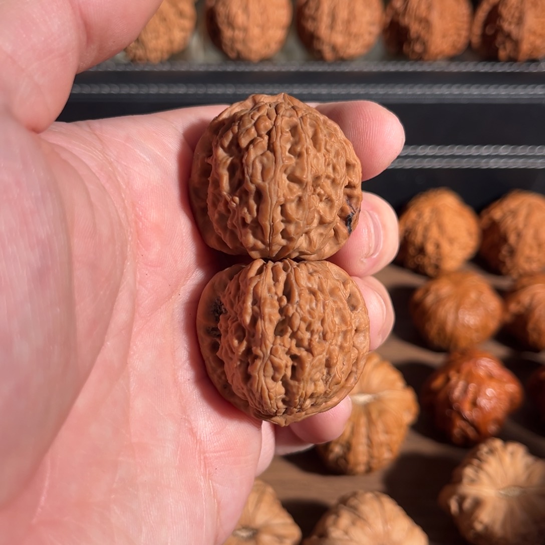 手串/手链核桃M*趙34全品三角白