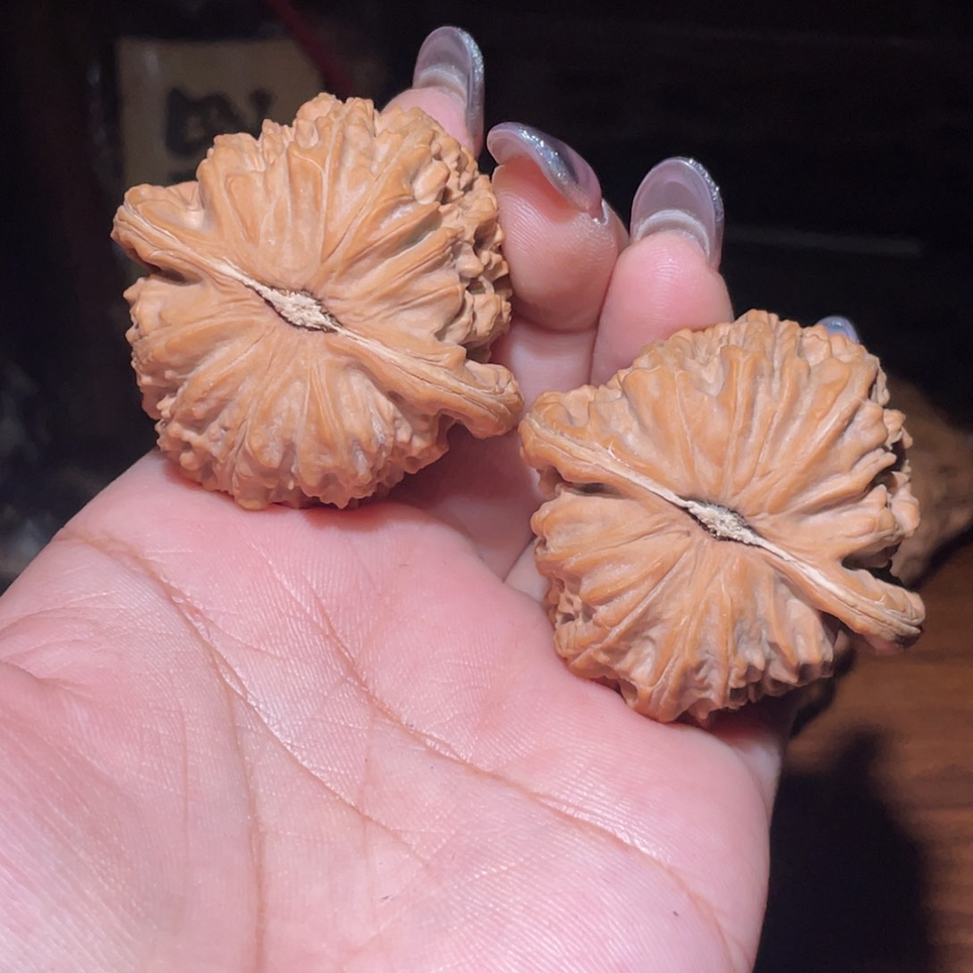 把件文玩核桃白狮子41.5