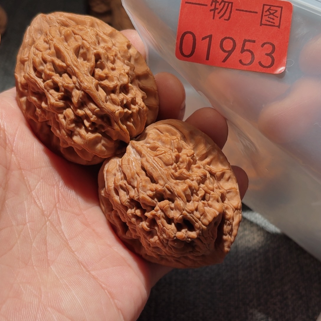 把件文玩核桃蚂蚁王