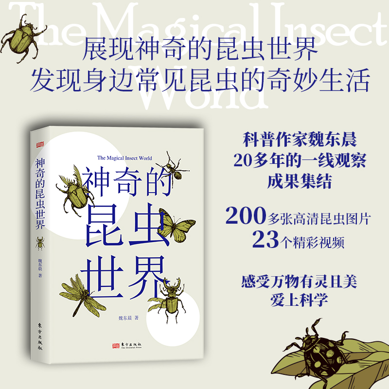 【文轩】神奇的昆虫世界 文教科普读物