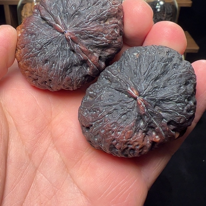 文玩核桃把件芭蕉扇47mm