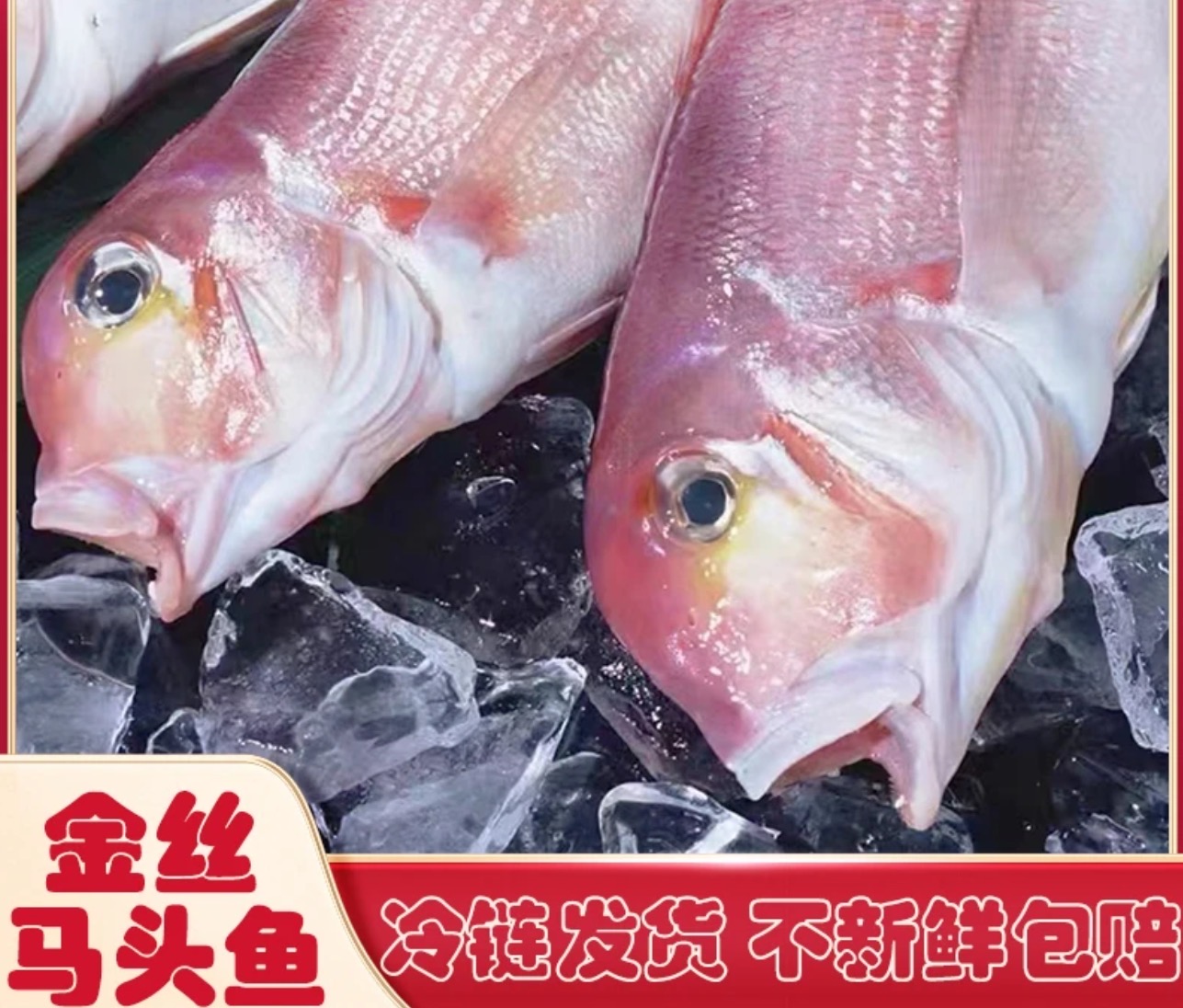 东海海鲜斧头鱼新鲜马头鱼方头鱼甘鲷肉质鲜美3斤