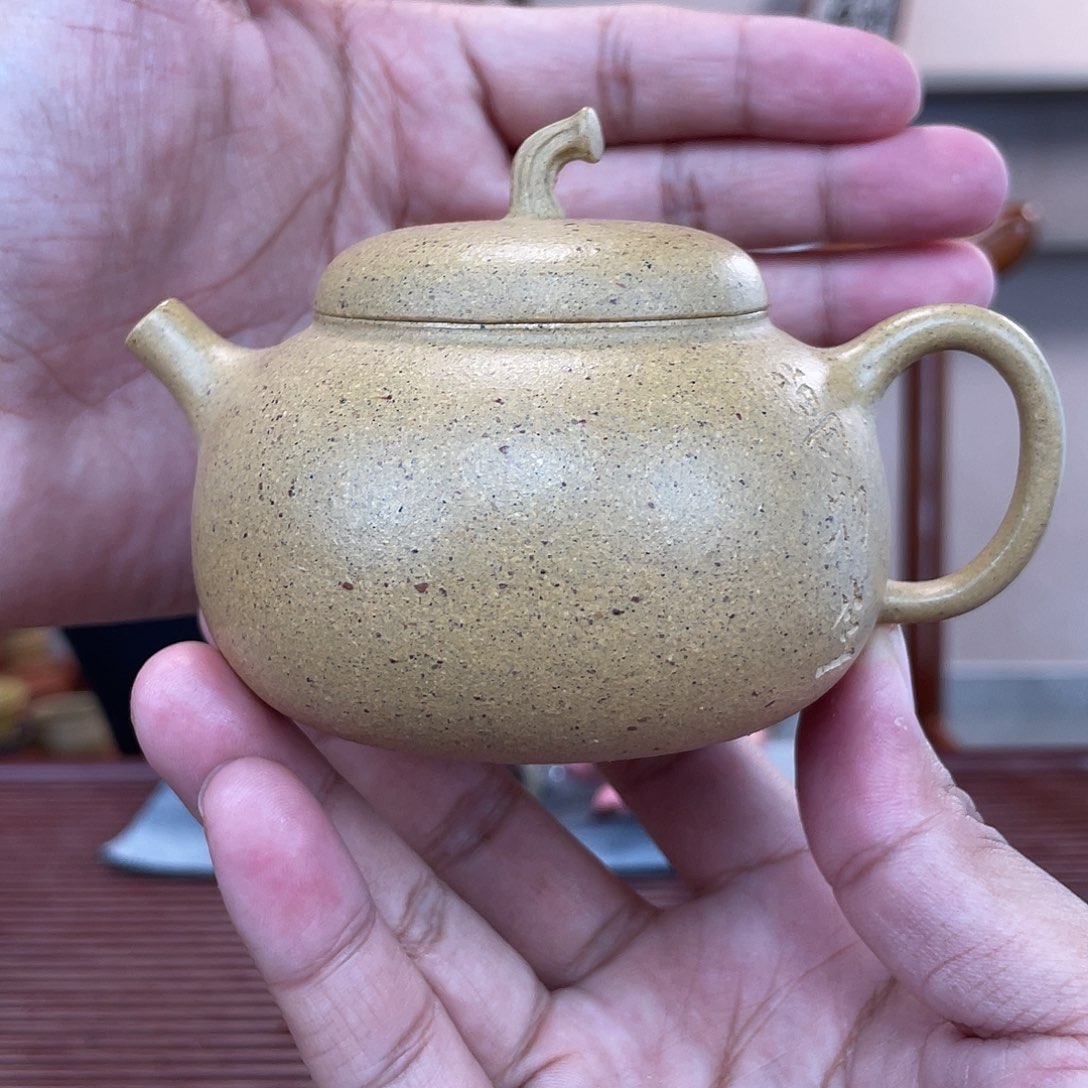 紫砂茶杯今天下午