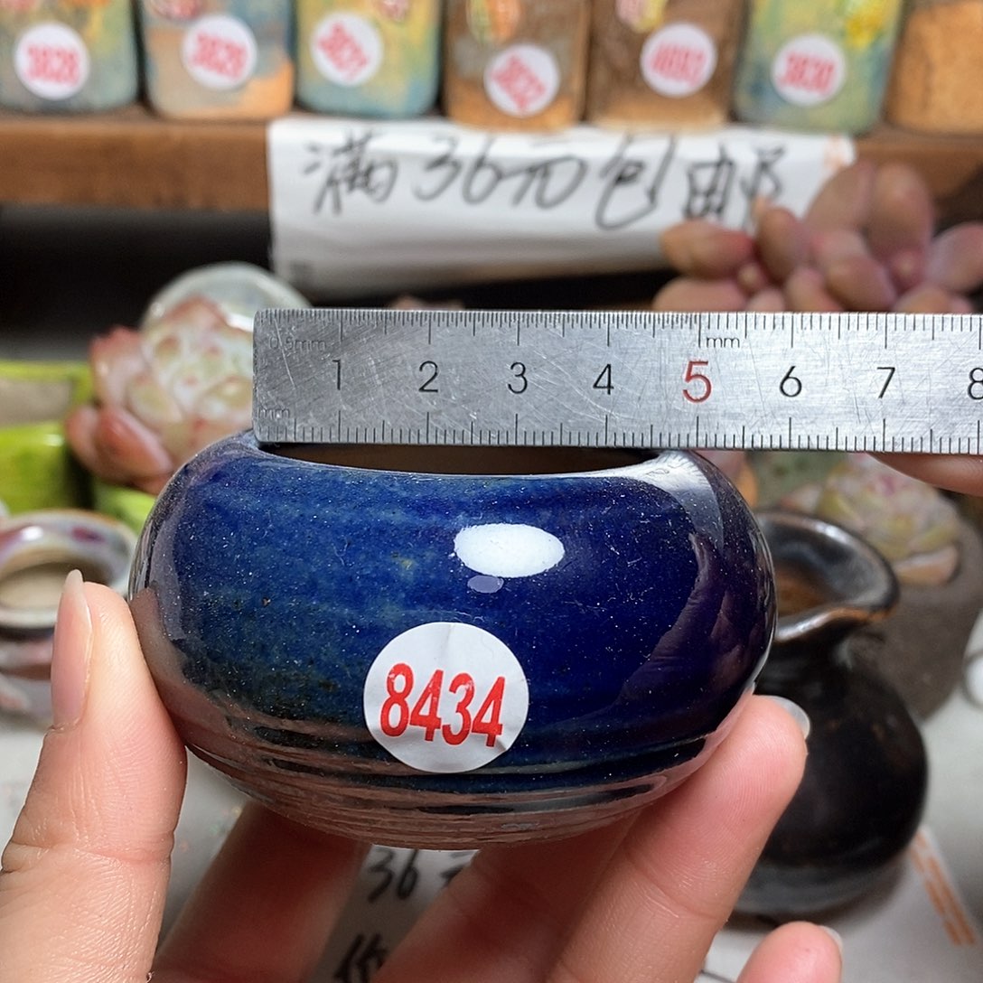 红陶拍5送一个小