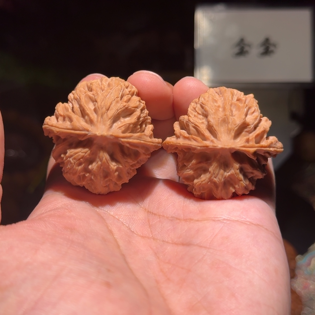 把件核桃1211苹果园，尺寸41