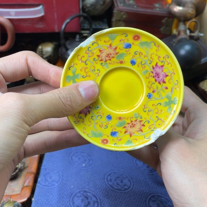 贝壳摆件烽云恩专属精选链接