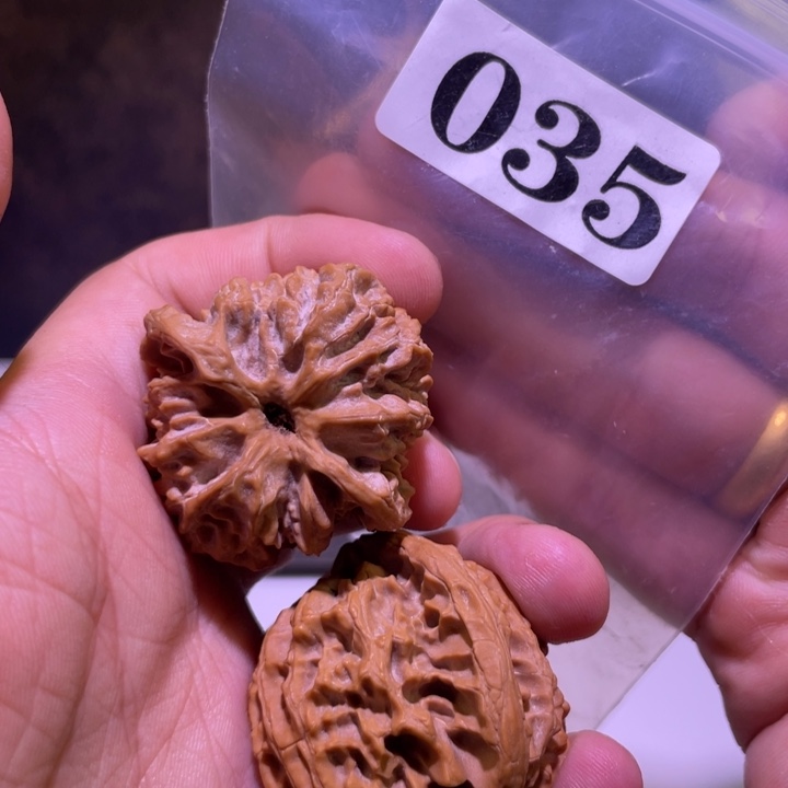 吊坠文玩核桃035苹果园40尺