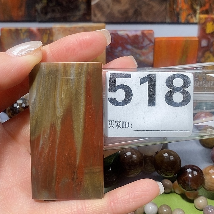 硅化玉未镶嵌天然北票树化玉吊坠