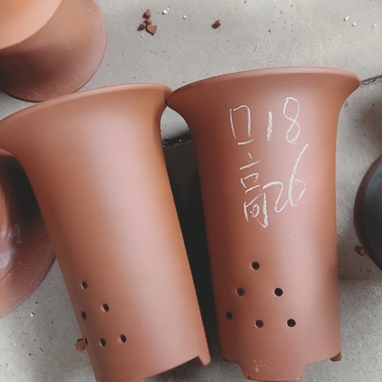 红陶紫砂紫砂紫砂