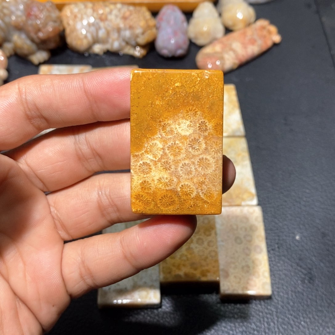 【闪购商品】硅化玉颈饰未镶嵌