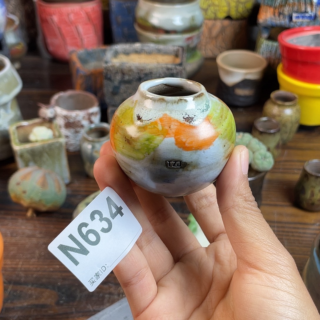 坛子姐花盆 双十二限时福利！默认微次！