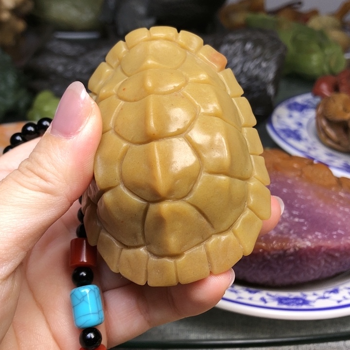 五***頭老挝石111111111111111