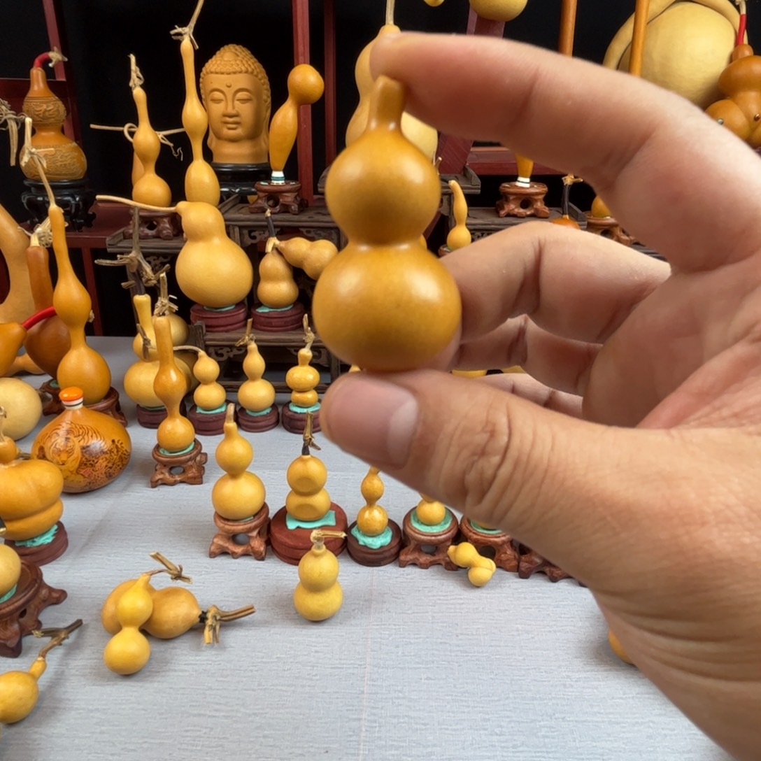 藤木我的小可爱，一点也不像个女孩