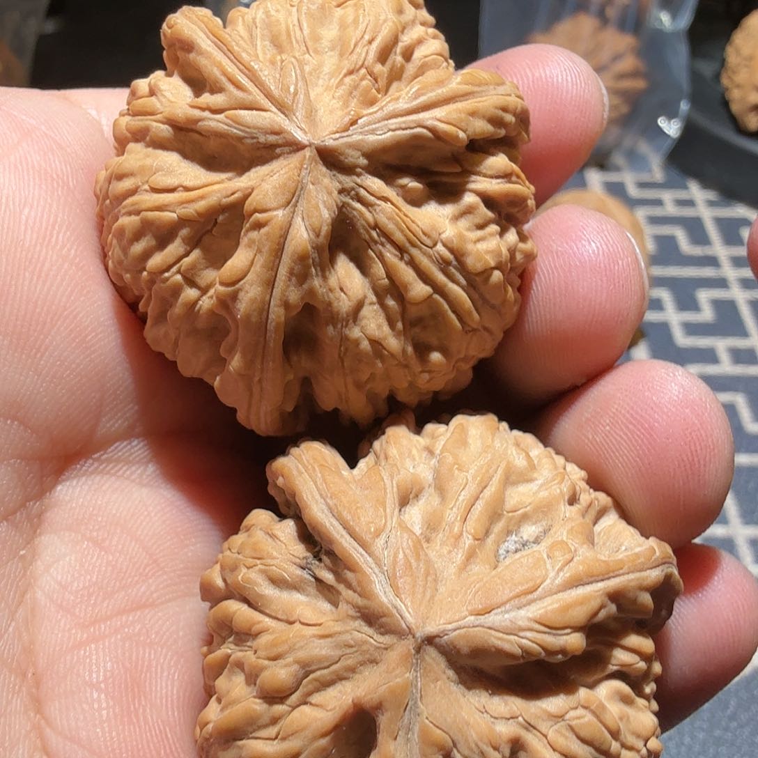 文玩核桃把件@****。御龙