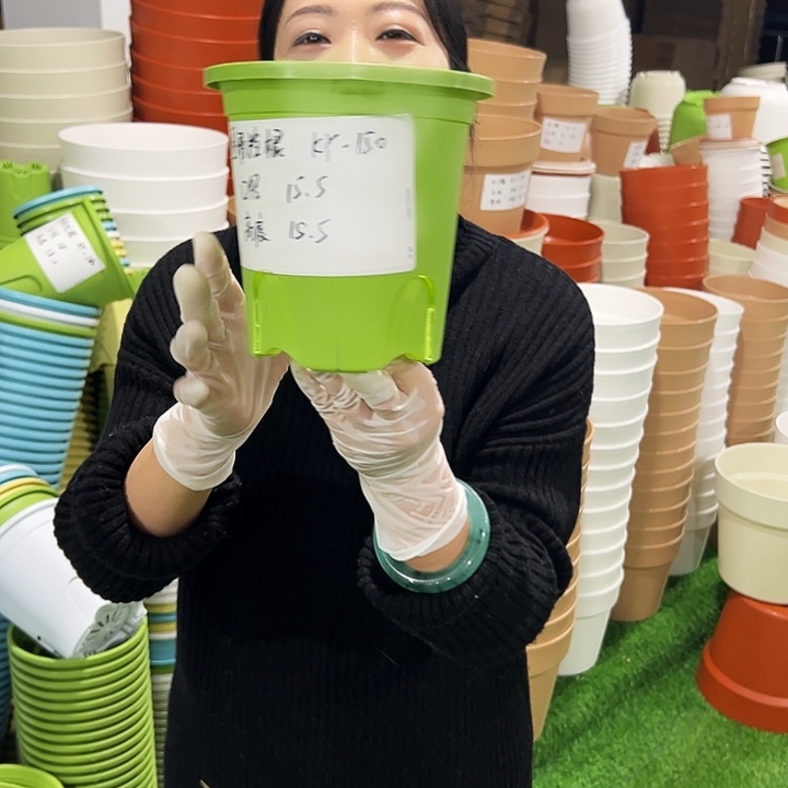 正品圆控口15高15果绿10只无托