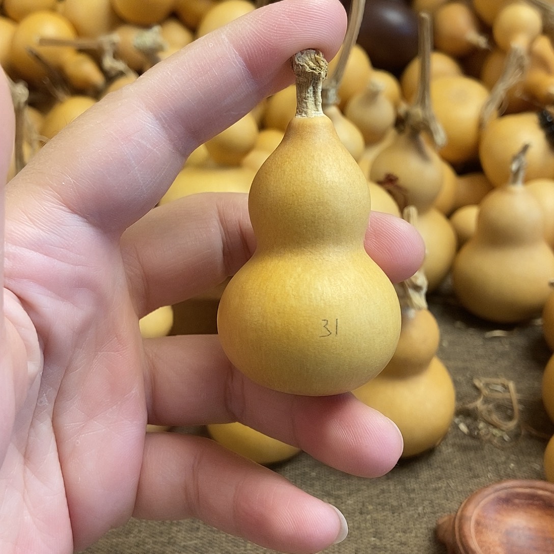 文玩葫芦 完美主义者 慎拍31