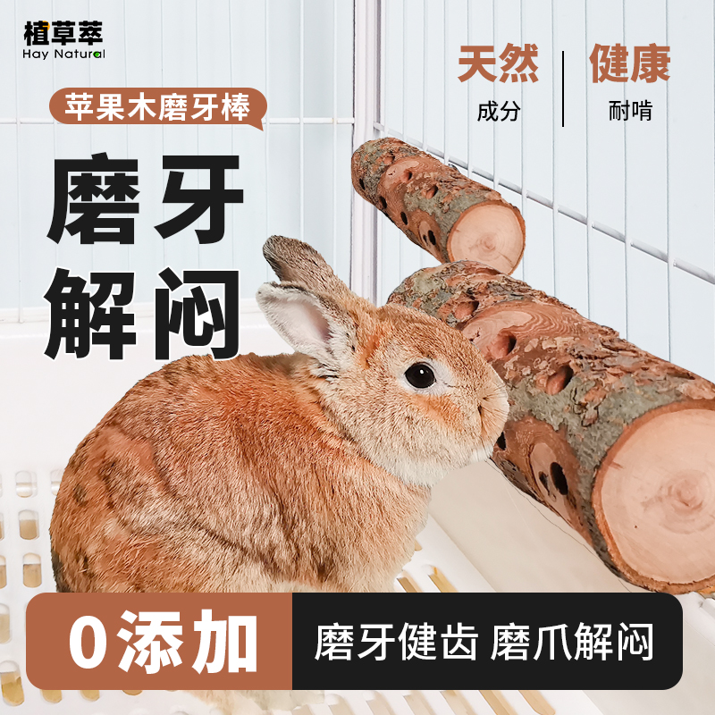 兔子磨牙解闷玩具神器悬挂式苹果木咬木枝龙猫豚鼠荷兰猪磨牙棒